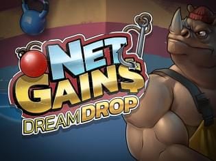 Net Gains Dream Drop game thumbnail
