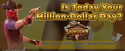Premium Slots and Big Wins