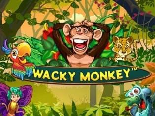 Wacky Monkey game thumbnail
